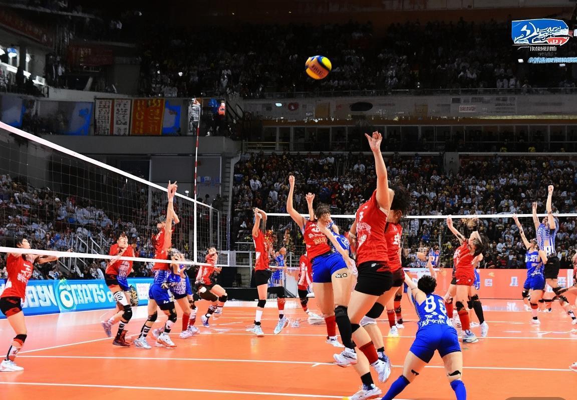 2017赛季江苏辽宁女排巅峰对决回顾：火花四溅经典瞬间